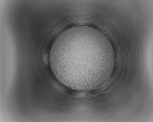 X0000116110090200911301131