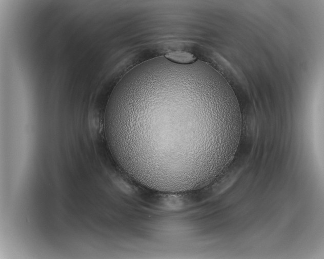 X0000116110091200911301131