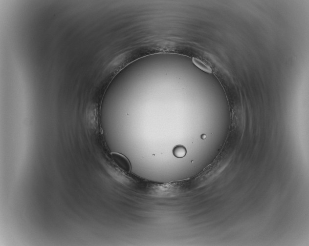 X0000116110092200911301131