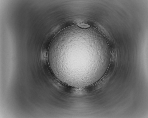 X0000116110093200911301131