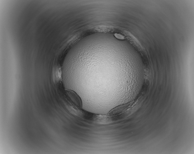 X0000116110095200911301131