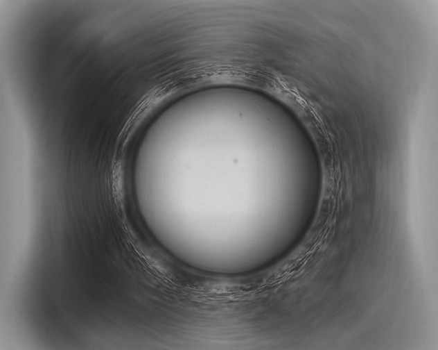 X0000116110098200911301131