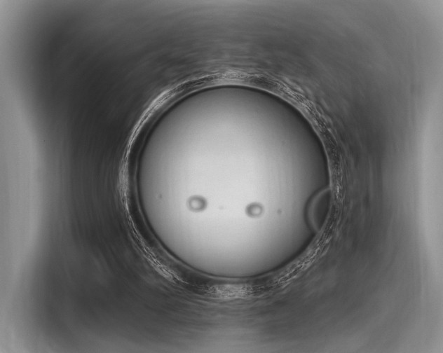 X0000116110102200911301131