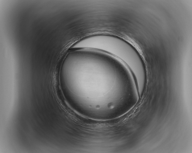 X0000116110105200911301131