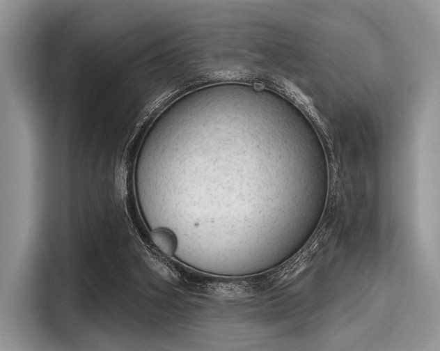 X0000116110106200911301131