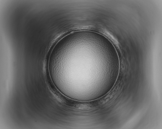 X0000116110107200911301131