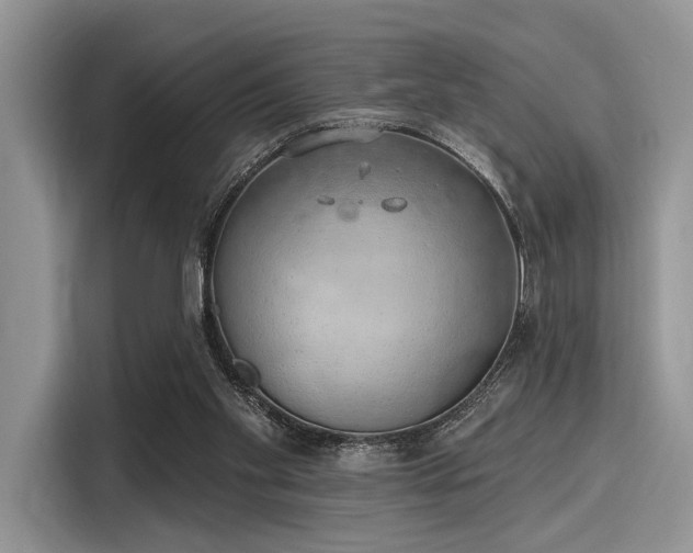 X0000116110109200911301131