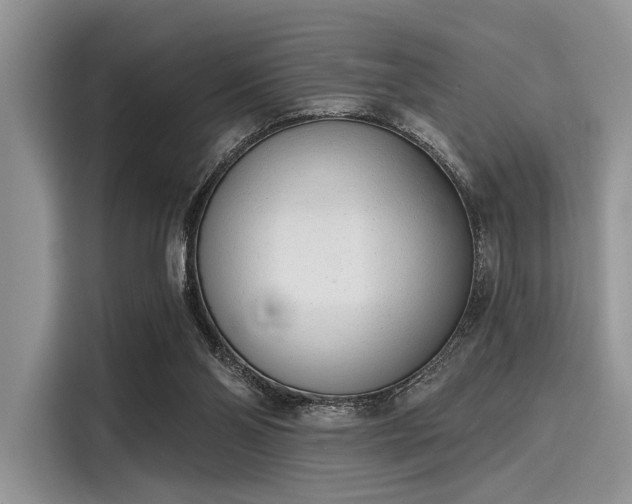 X0000116110110200911301131