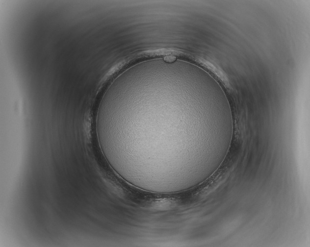 X0000116110111200911301131