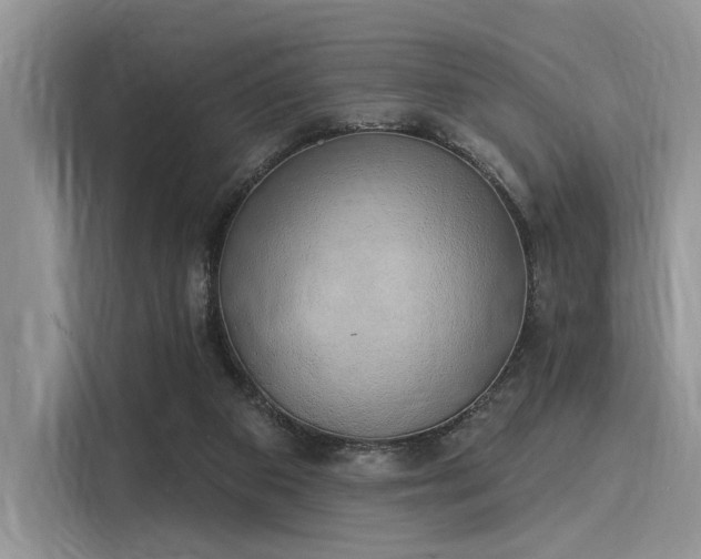 X0000116110113200911301131