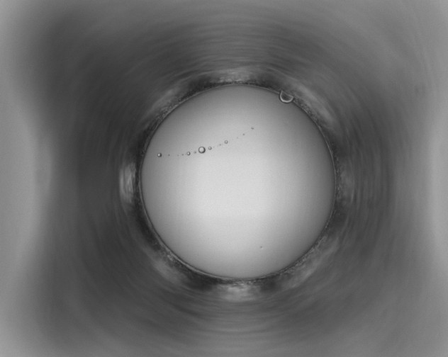 X0000116110118200911301131