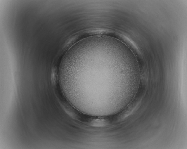 X0000116110119200911301131