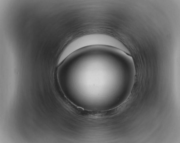 X0000116110120200911301131