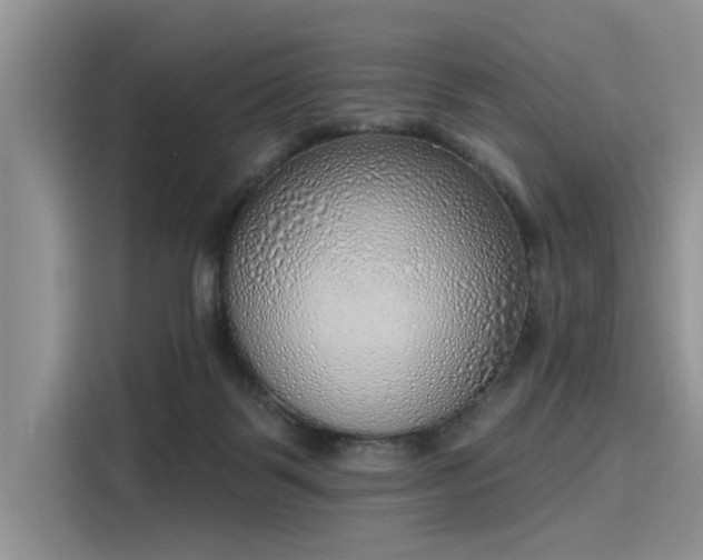 X0000116110123200911301130