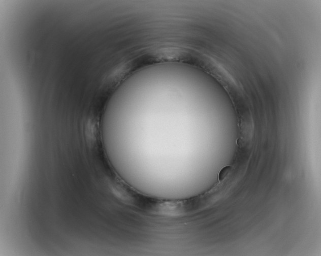 X0000116110126200911301130