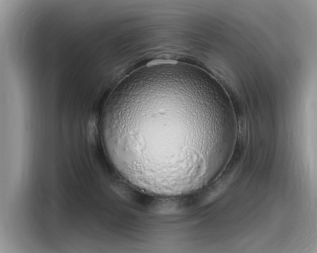 X0000116110127200911301130