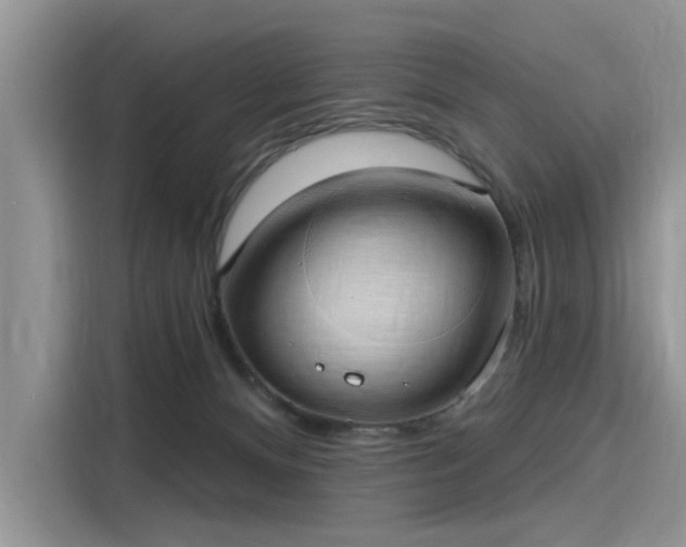 X0000116110128200911301130