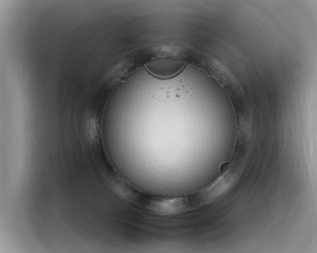 X0000116110130200911301130