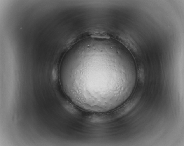 X0000116110131200911301130