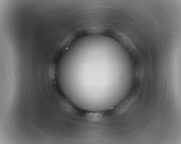 X0000116110133200911301130