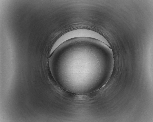 X0000116110137200911301130