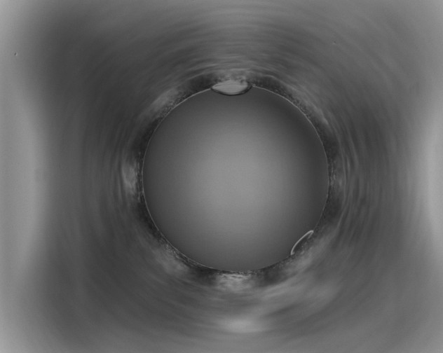 X0000116110139200911301130