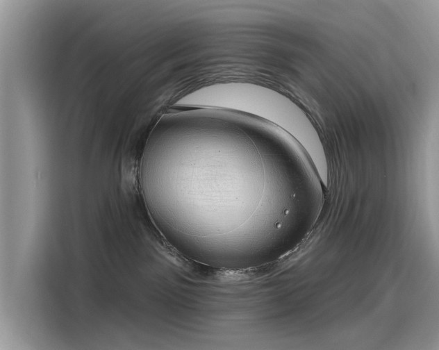 X0000116110141200911301130