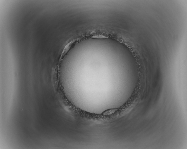 X0000116110144200911301130