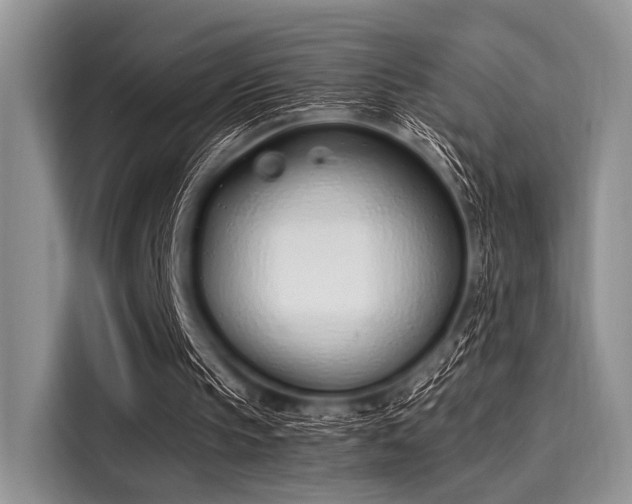 X0000116110145200911301130