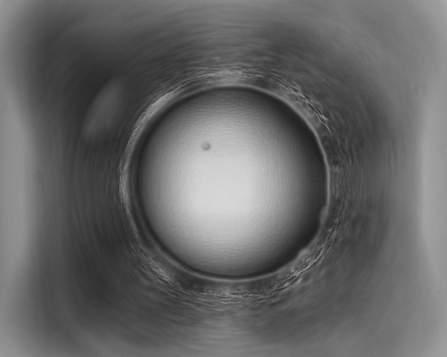 X0000116110147200911301130