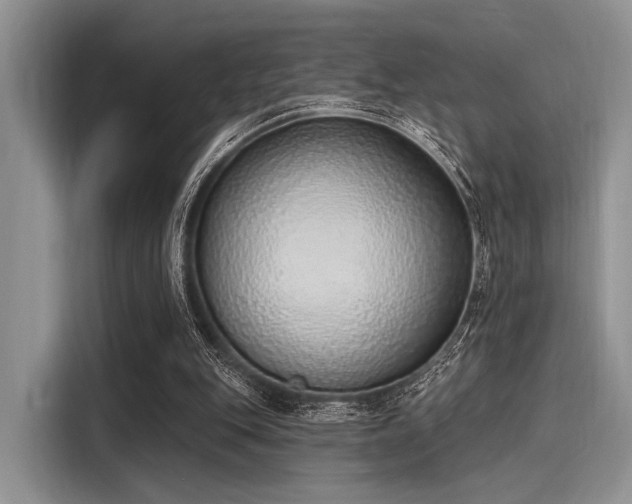 X0000116110151200911301130