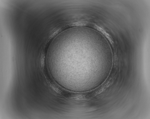 X0000116110153200911301130