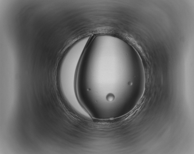 X0000116110154200911301130