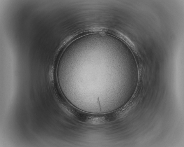 X0000116110155200911301130