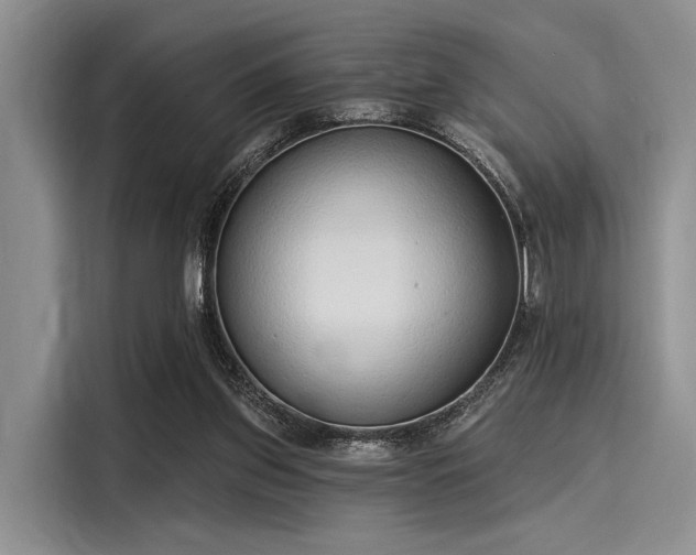 X0000116110157200911301130