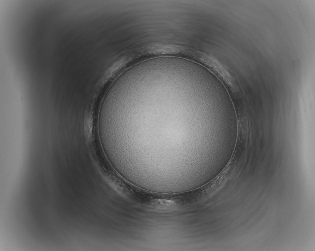 X0000116110159200911301130