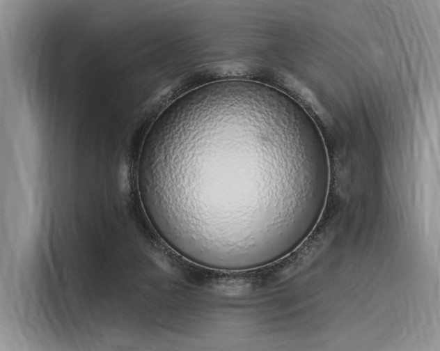 X0000116110161200911301130