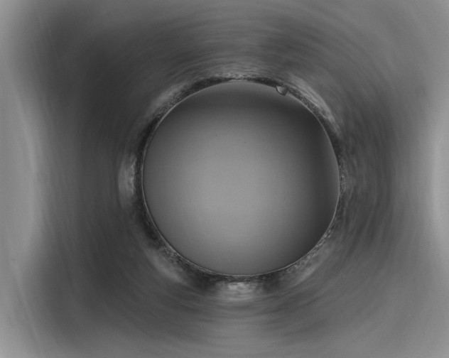 X0000116110163200911301130