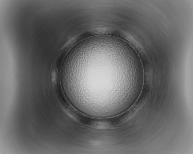 X0000116110165200911301130