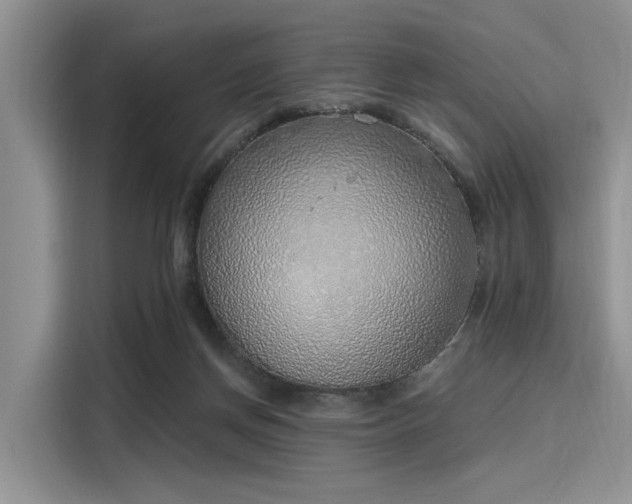 X0000116110166200911301130