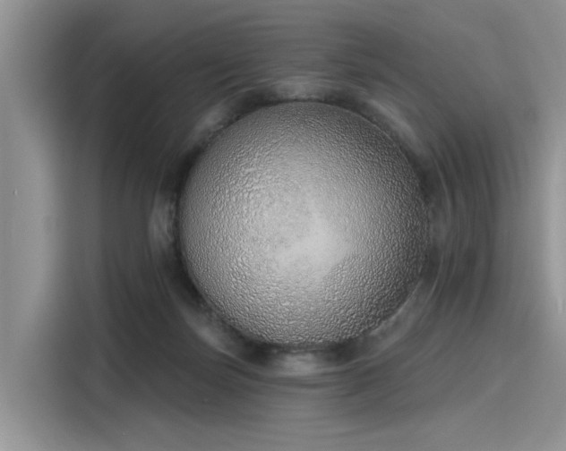 X0000116110171200911301130