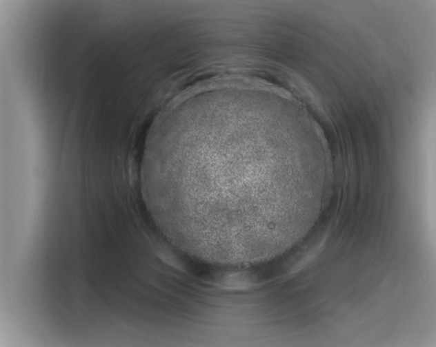 X0000116110173200911301130