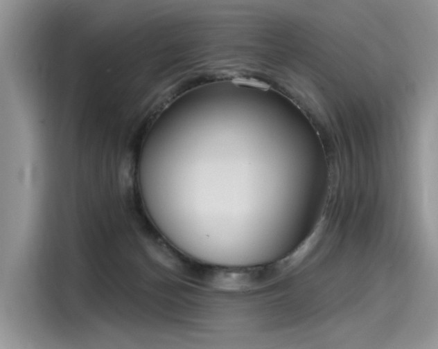 X0000116110174200911301130