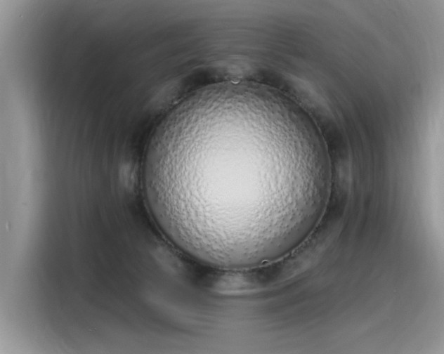 X0000116110177200911301130