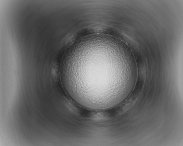 X0000116110181200911301130