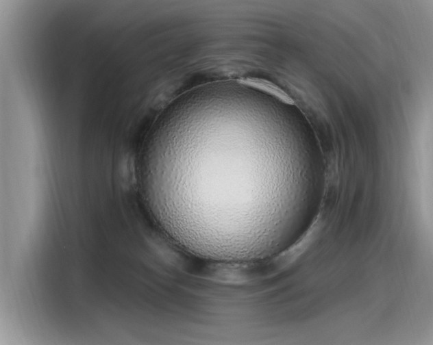 X0000116110182200911301130