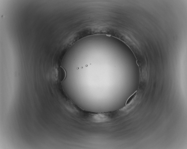 X0000116110183200911301130