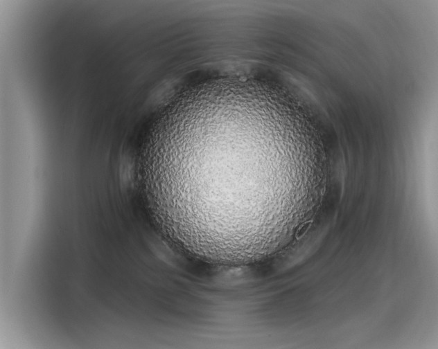 X0000116110185200911301130