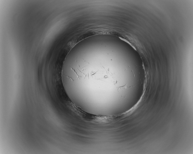 X0000116110190200911301130