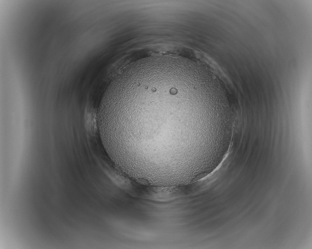 X0000116110191200911301130